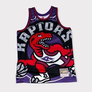 Men’s Mitchell & Ness Toronto Raptors Jersey